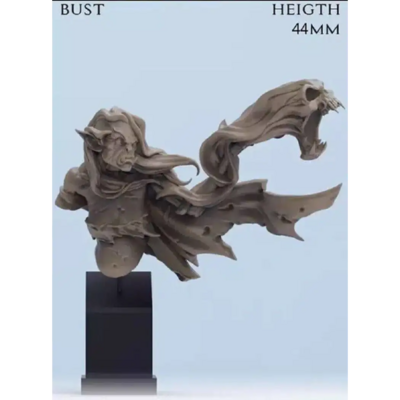 1/10 BUST 45mm Resin Model Kit Orc Old Dark Sorceress Warcraft Unpainted