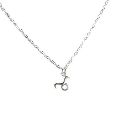 Dainty sterling silver taurus astrological necklace