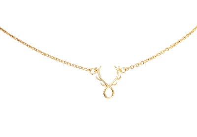 Deer Antler Necklace
