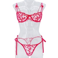 Women's embroidered sexy lingerie set bra and panties set - Thumbnail 4