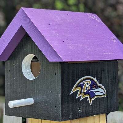 Ravens bird house