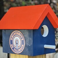 Chief Illiniwek Bird House - Thumbnail 1