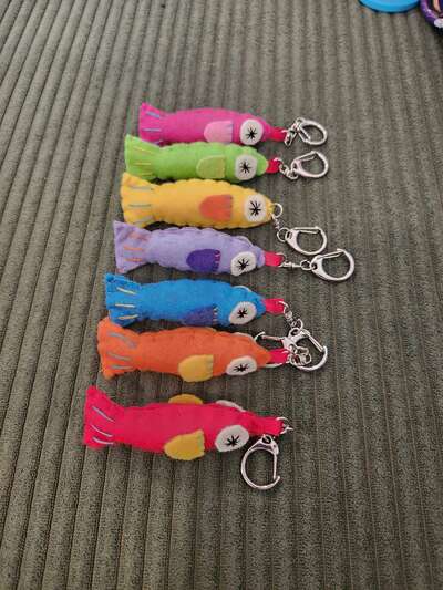Mystery Catch (fish blind bag)
