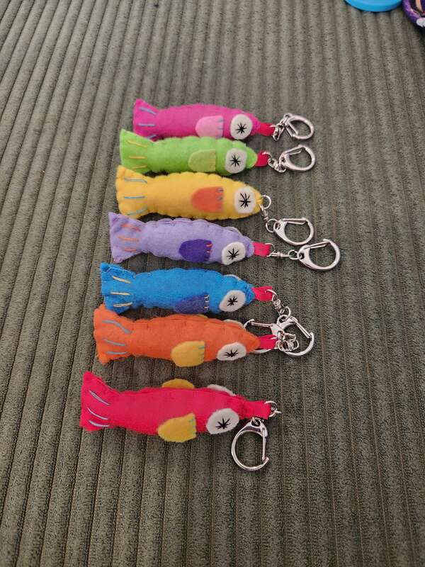 Mystery Catch (fish blind bag)