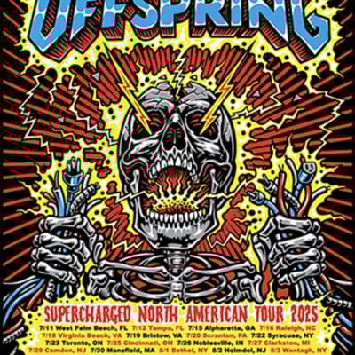 Foil the offspring screenprinted 2025 tour poster 
