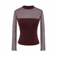 Hollow lace mesh half-high round neck long-sleeved bottoming shirt - Thumbnail 1