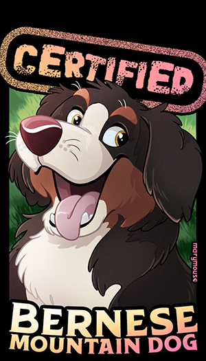 Certified Burmese Mountain Dog