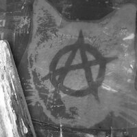 Anarchy Kitty Punk Sew-on Patches - Thumbnail 5