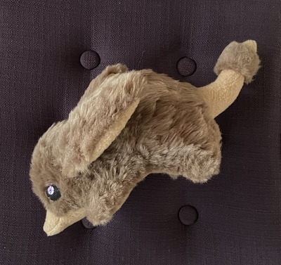 Bilby Plush: Fluffy
