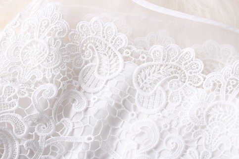 Lace hand-embroidered organza lace sleeveless dress tutu dress White
