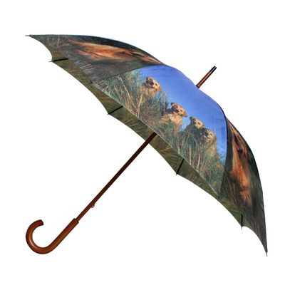 96020. dog umbrella