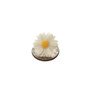 Daisy Flower Earrings - Thumbnail 1