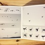 Sky Full of Cranes-1