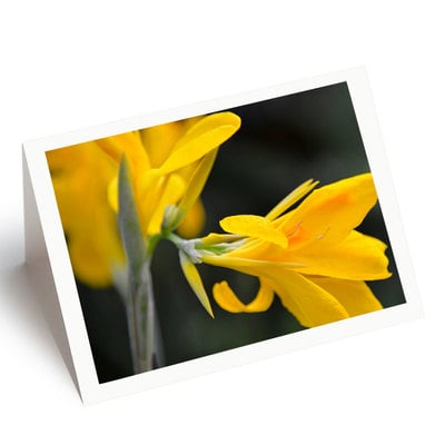 Photo note cards
