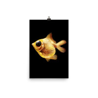 Goldfish Poster - Thumbnail 6