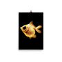 Goldfish Poster-2